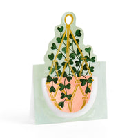 Potted Plants Pop-Up Greeting Card Box Set