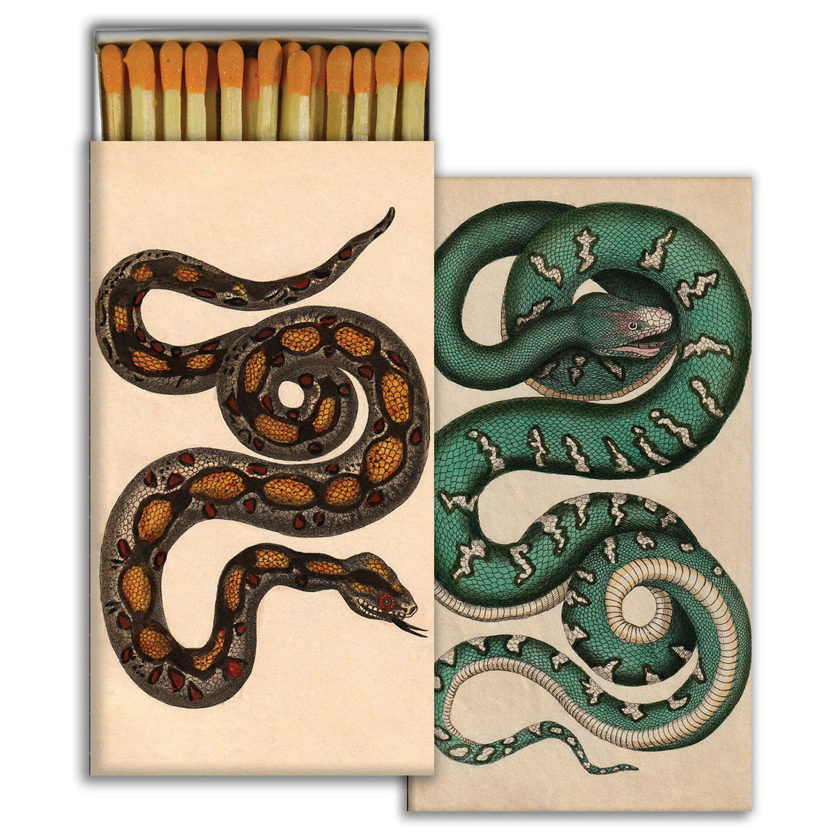 Match - Rare Snakes