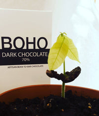 70% Dark Chocolate (USDA Organic)