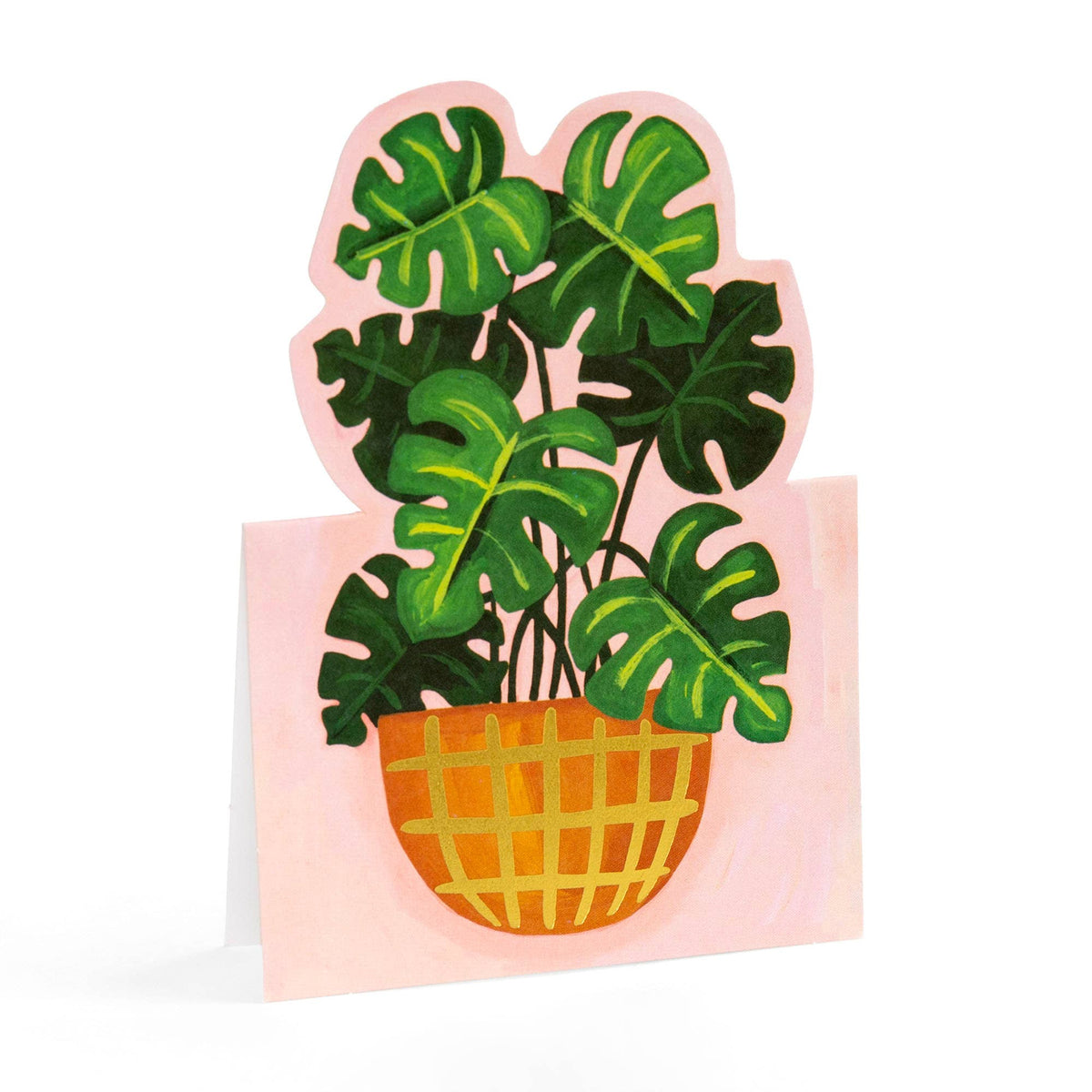 Potted Plants Pop-Up Greeting Card Box Set
