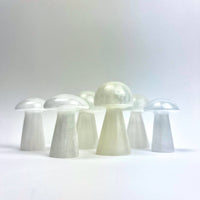 *Selenite Mushroom | Morocco