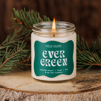 Evergreen Holiday Soy Candle