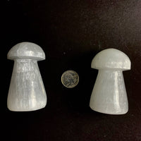 *Selenite Mushroom | Morocco