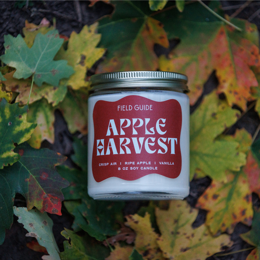 Apple Harvest Falliday Soy Candle