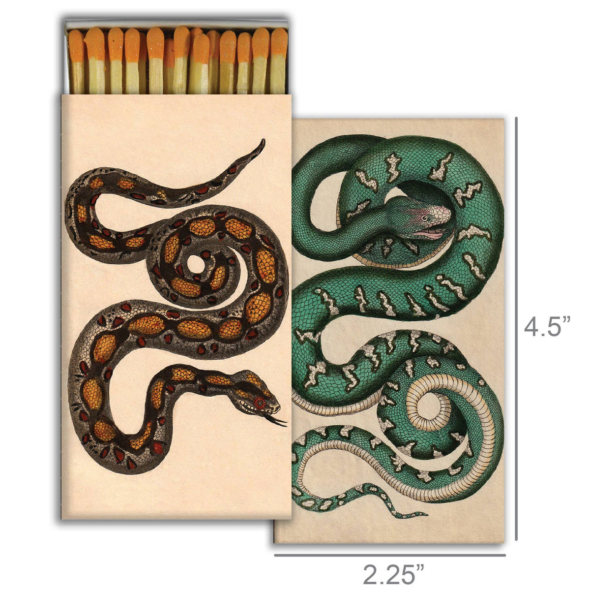 Match - Rare Snakes