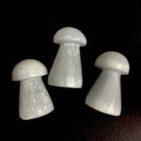 *Selenite Mushroom | Morocco