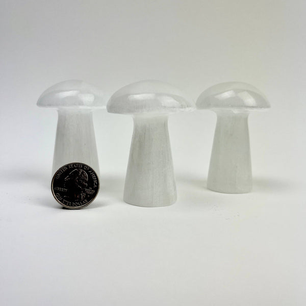 *Selenite Mushroom | Morocco