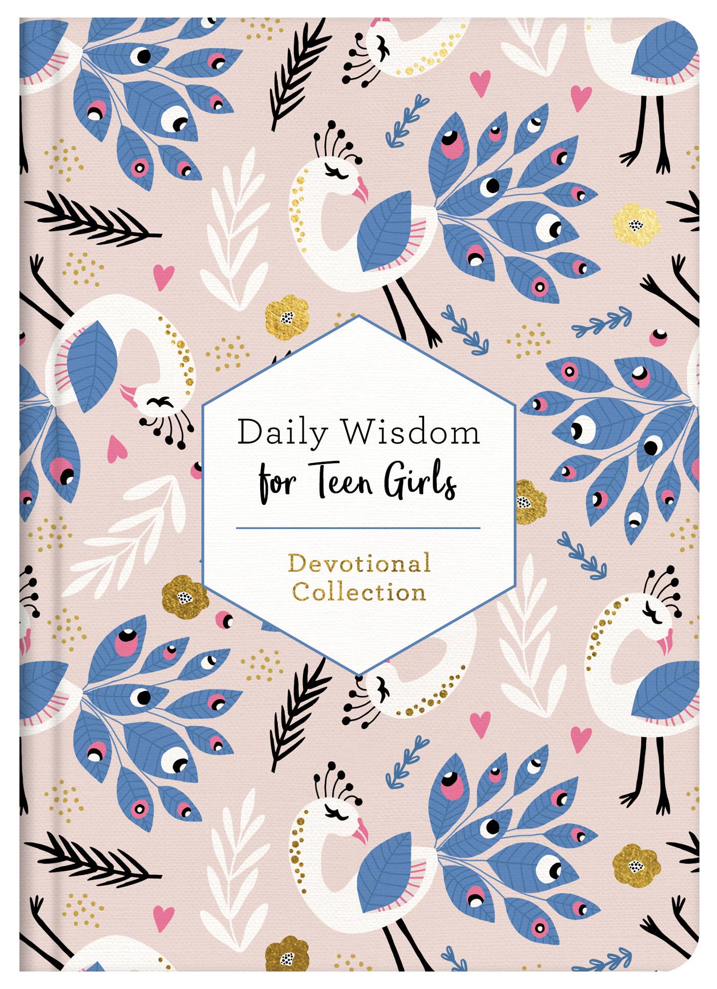Daily Wisdom for Teen Girls