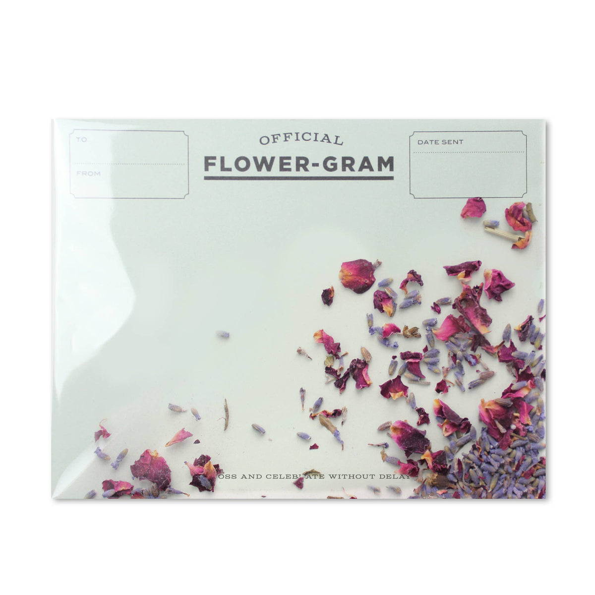 Flowergram - Lavender + Rose