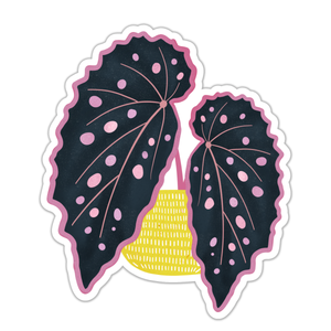 Pink Spotted Begonia Sticker