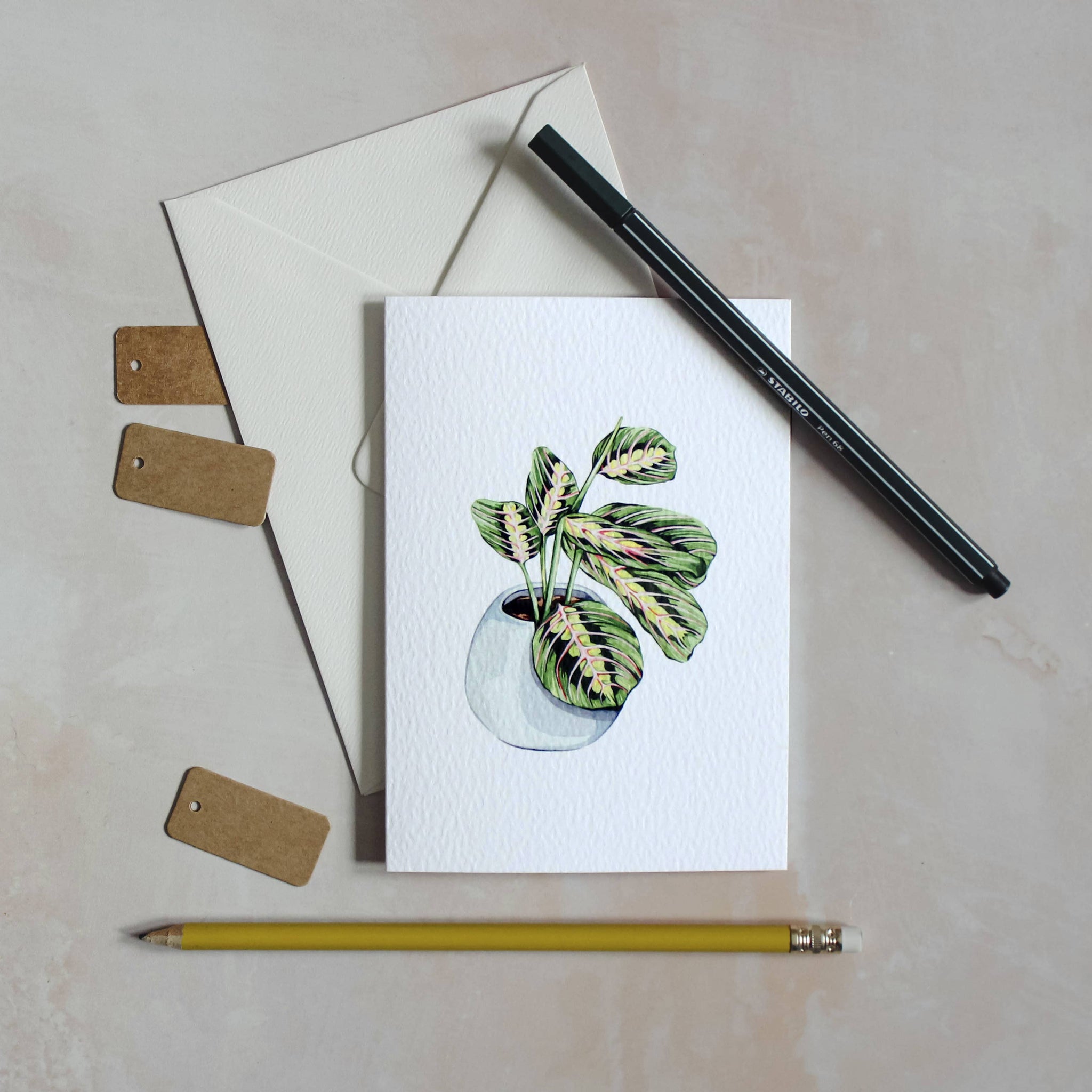 House Plant Watercolour Sustainable Greeting Card - Maranta