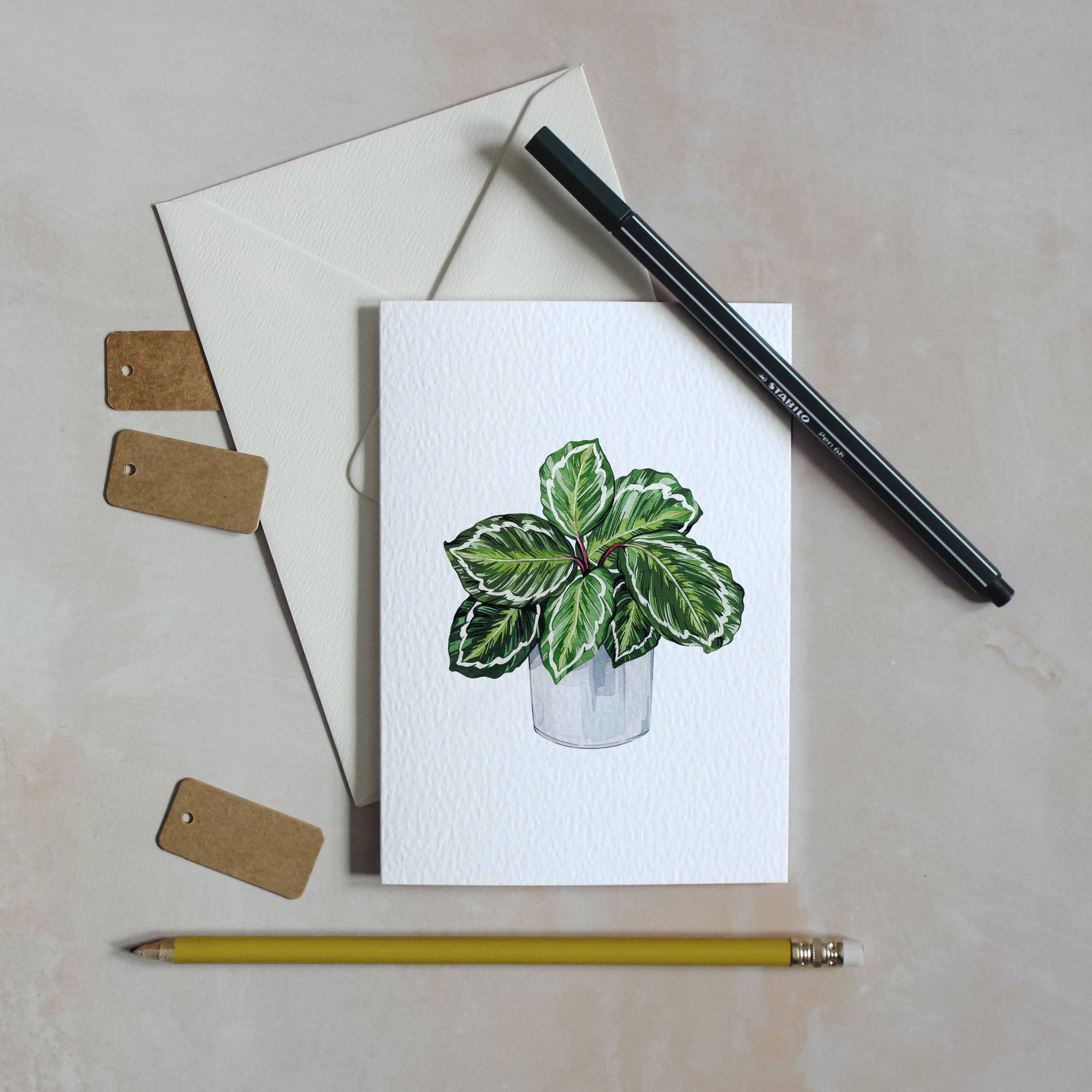 House Plant Watercolour Sustainable Greeting Card - Calathea