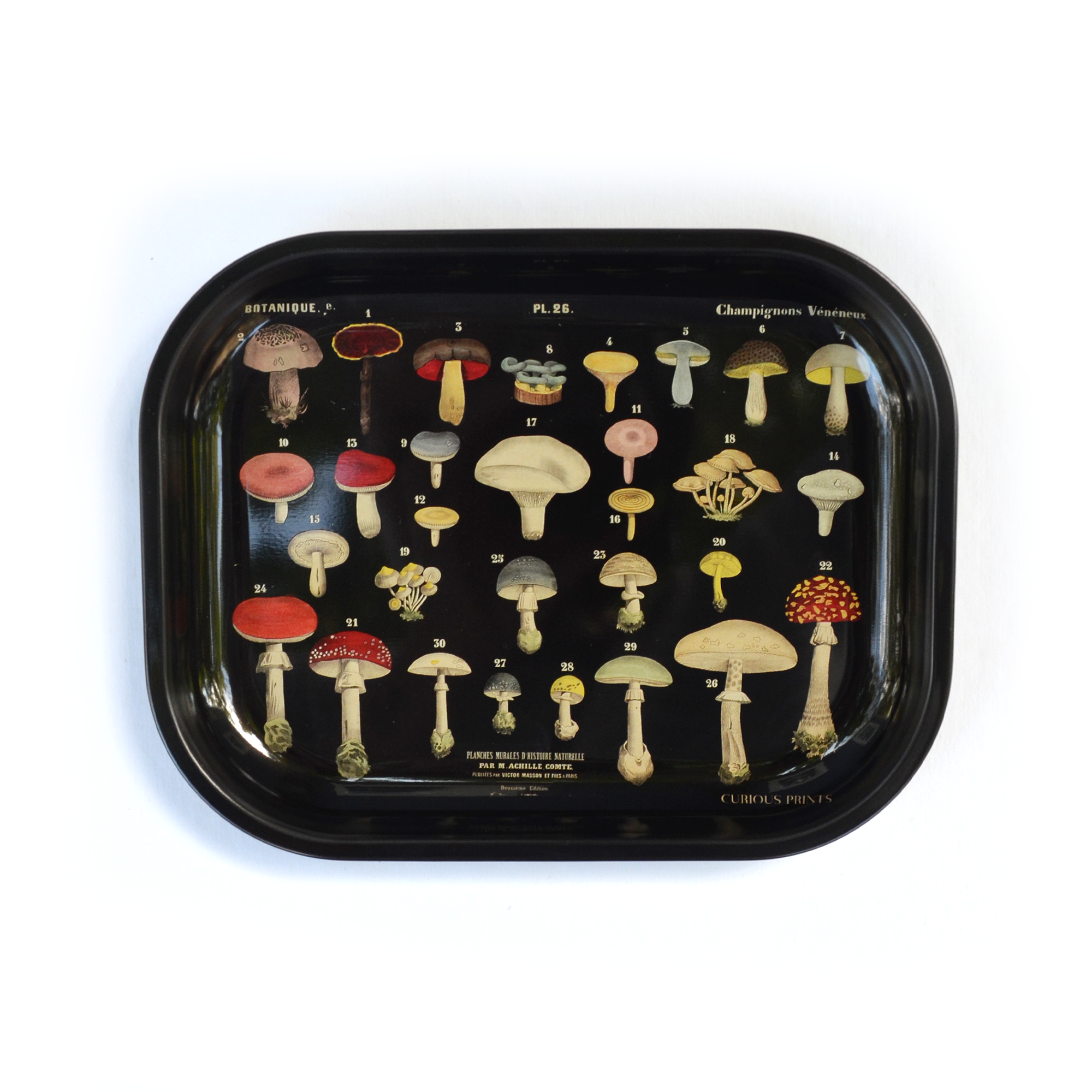 Small Metal Mushroom Ritual Tray - Vintage Fungi Print