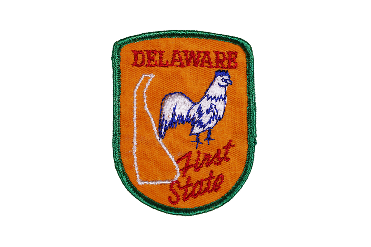 Vintage Delaware Embroidered Patch