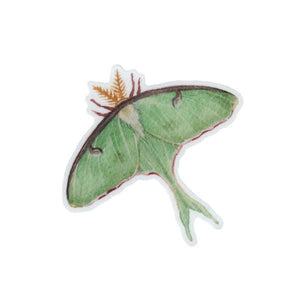Luna Moth Vinyl Moth Sticker