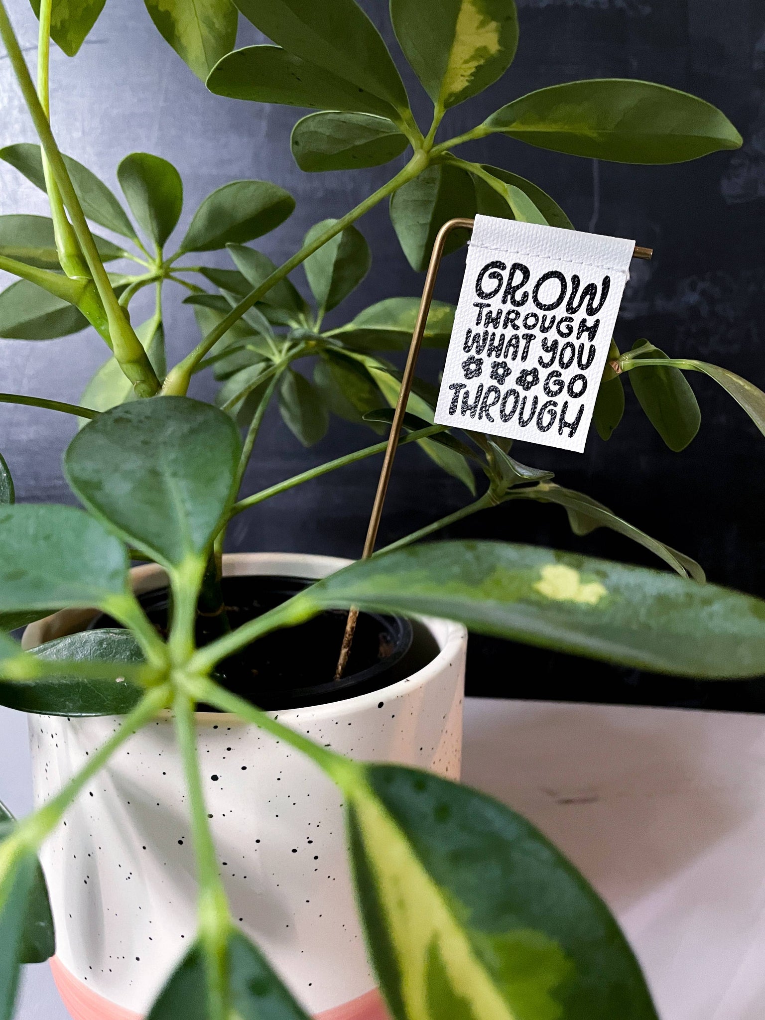 Grow Through What You Go Through Plant Banner - Plant Stake