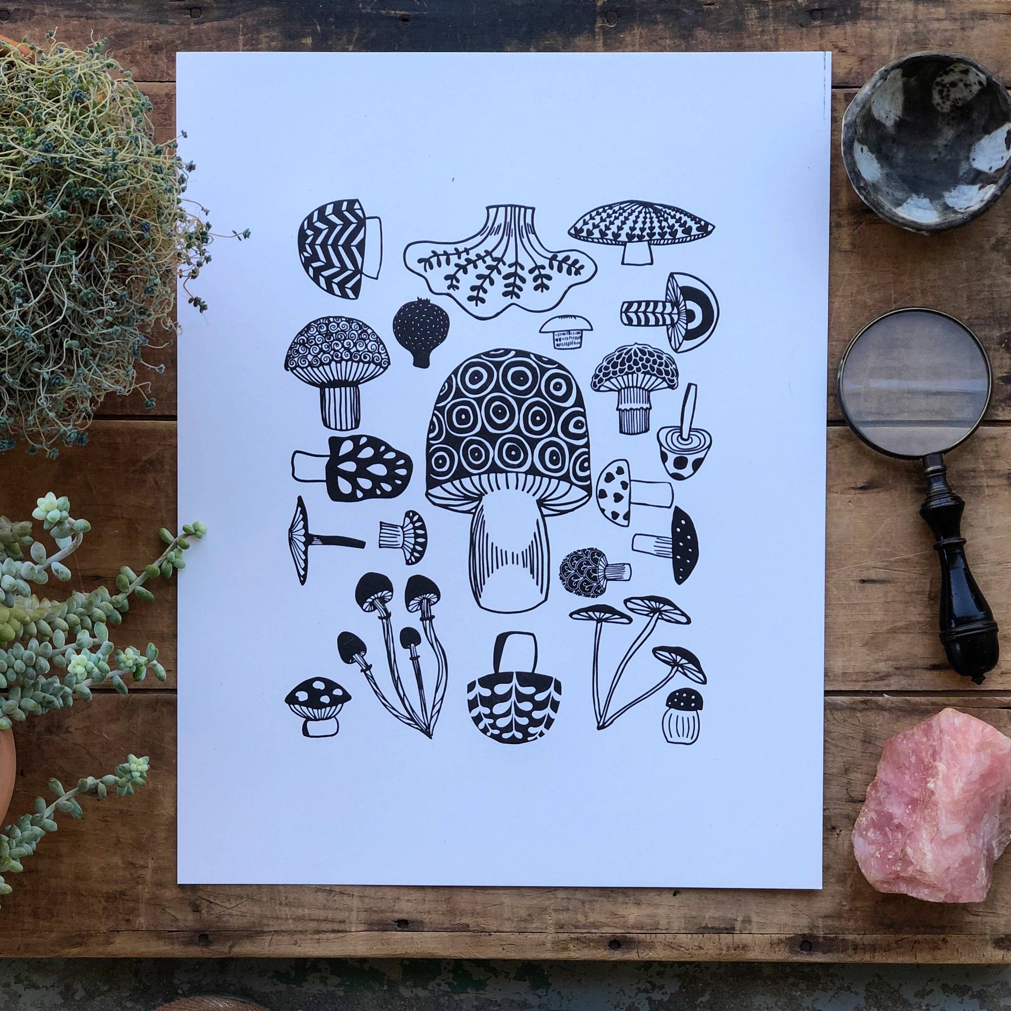 11" x 14" Mushroom Collection Print
