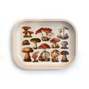 Small Metal Tan Mushroom Ritual Tray - Vintage Fungi Print